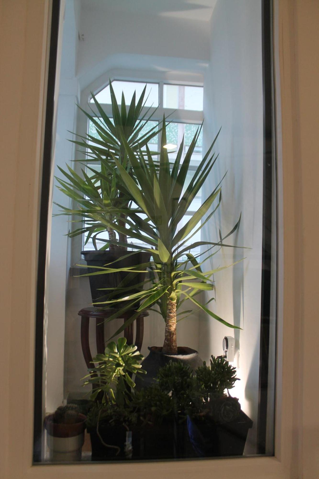 Real Guest House Costa de Caparica Luaran gambar